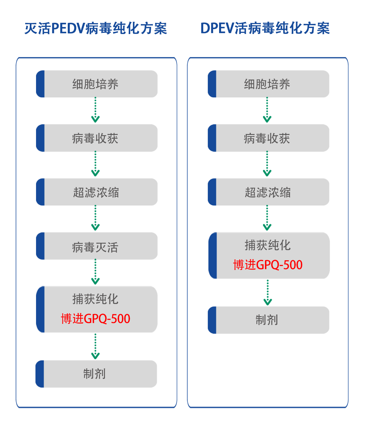 豬流行性腹瀉病毒疫苗的純化分享