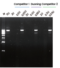 Solutions for mRNA in vitro Synthesis