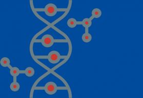 Intelli Nuclease ELISA Kit