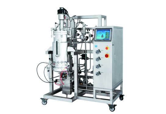 Stainless Steel Microbial Fermentation System